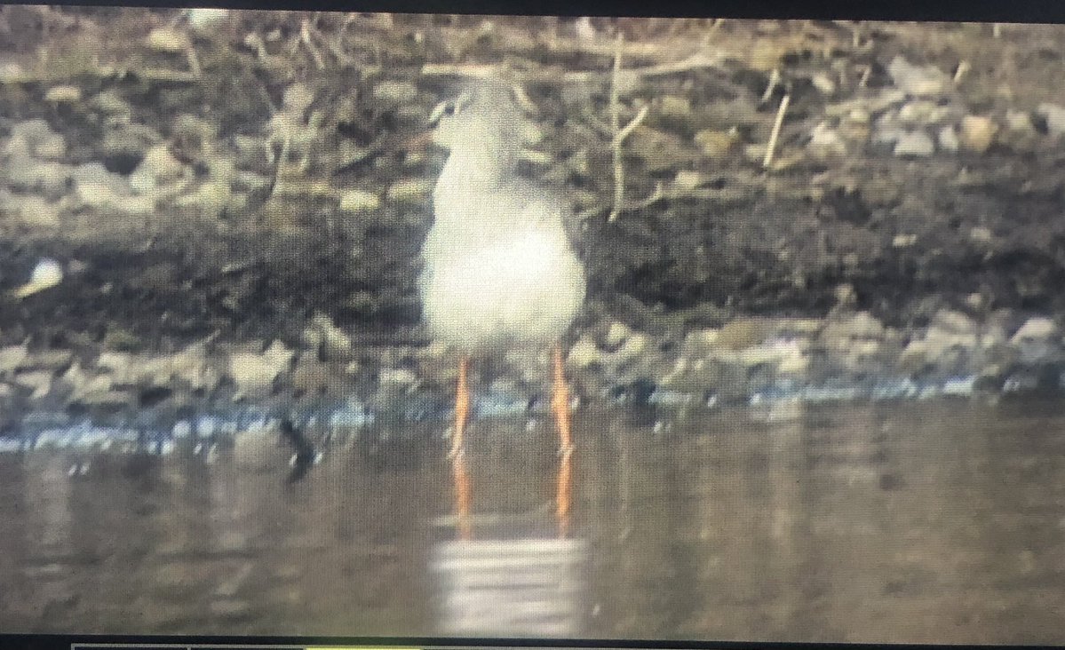 Paul Hindess tweet media