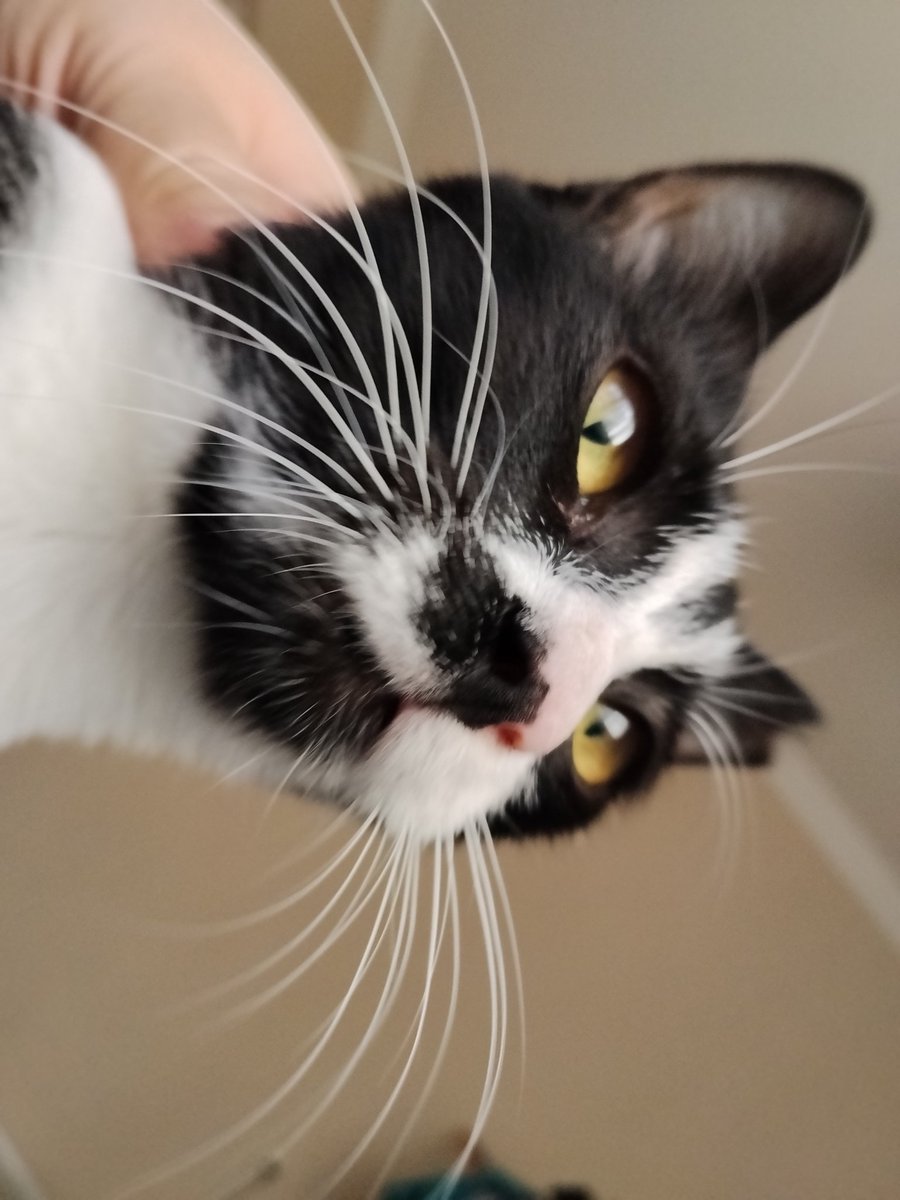 artik bu tip akimlara katilabilecegimi simdi fark ettim alin bu da benim kiz