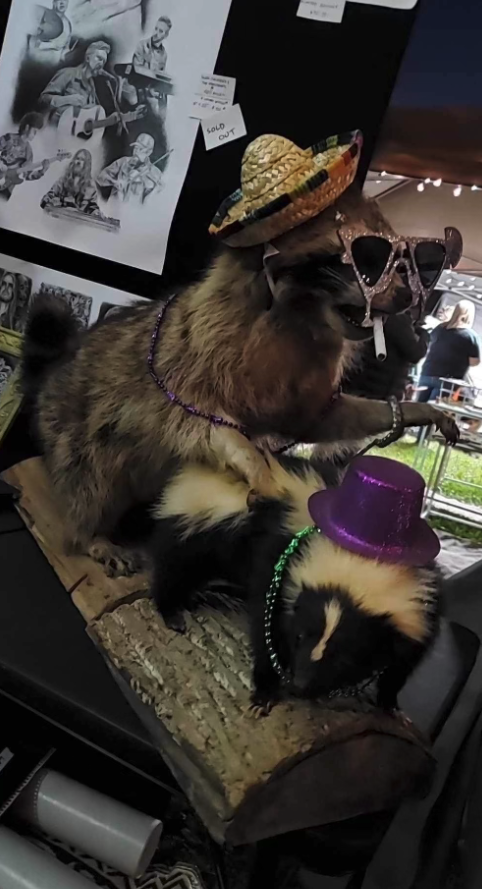 Ol Cleave tweet media