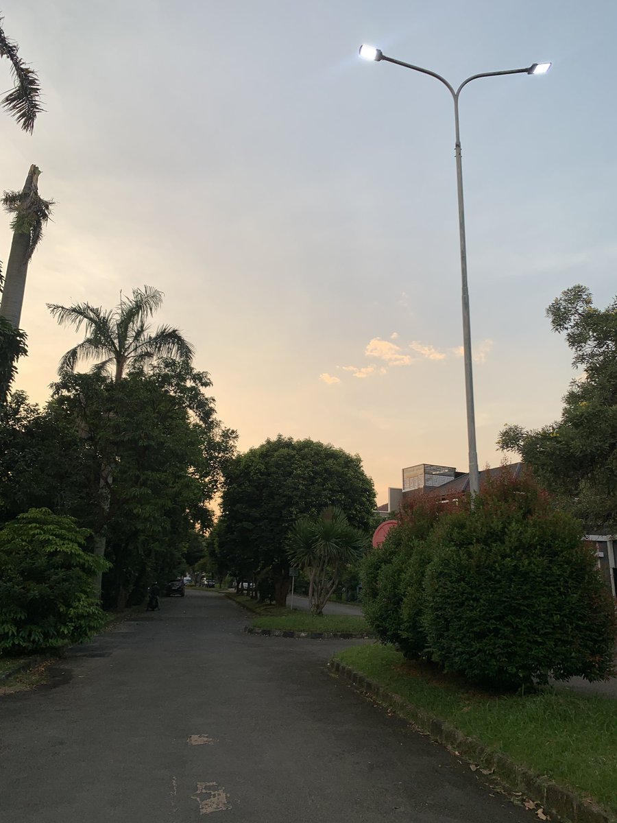 dimanarin tweet media