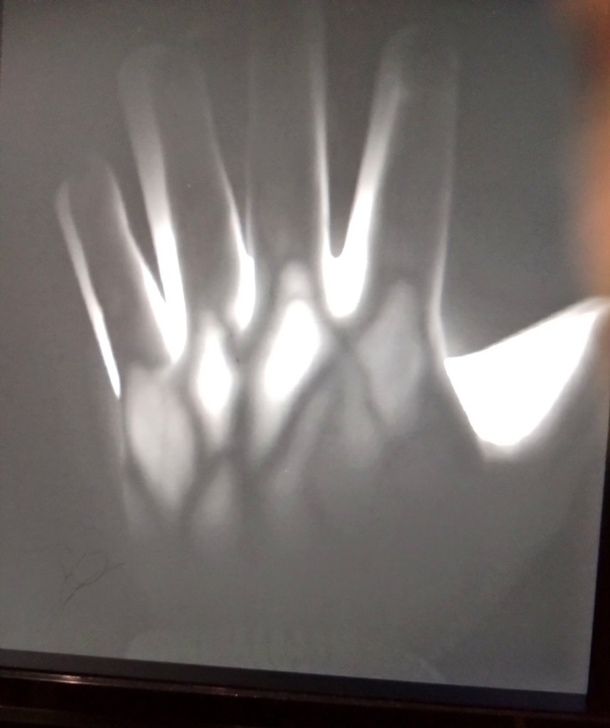 おだやかな視点 tweet media