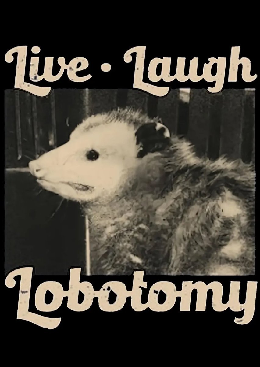 SalyVation's tweet photo. Live, Laugh, Lobotomy
#lobotomy #crisis https://t.co/ExMsh782Z9