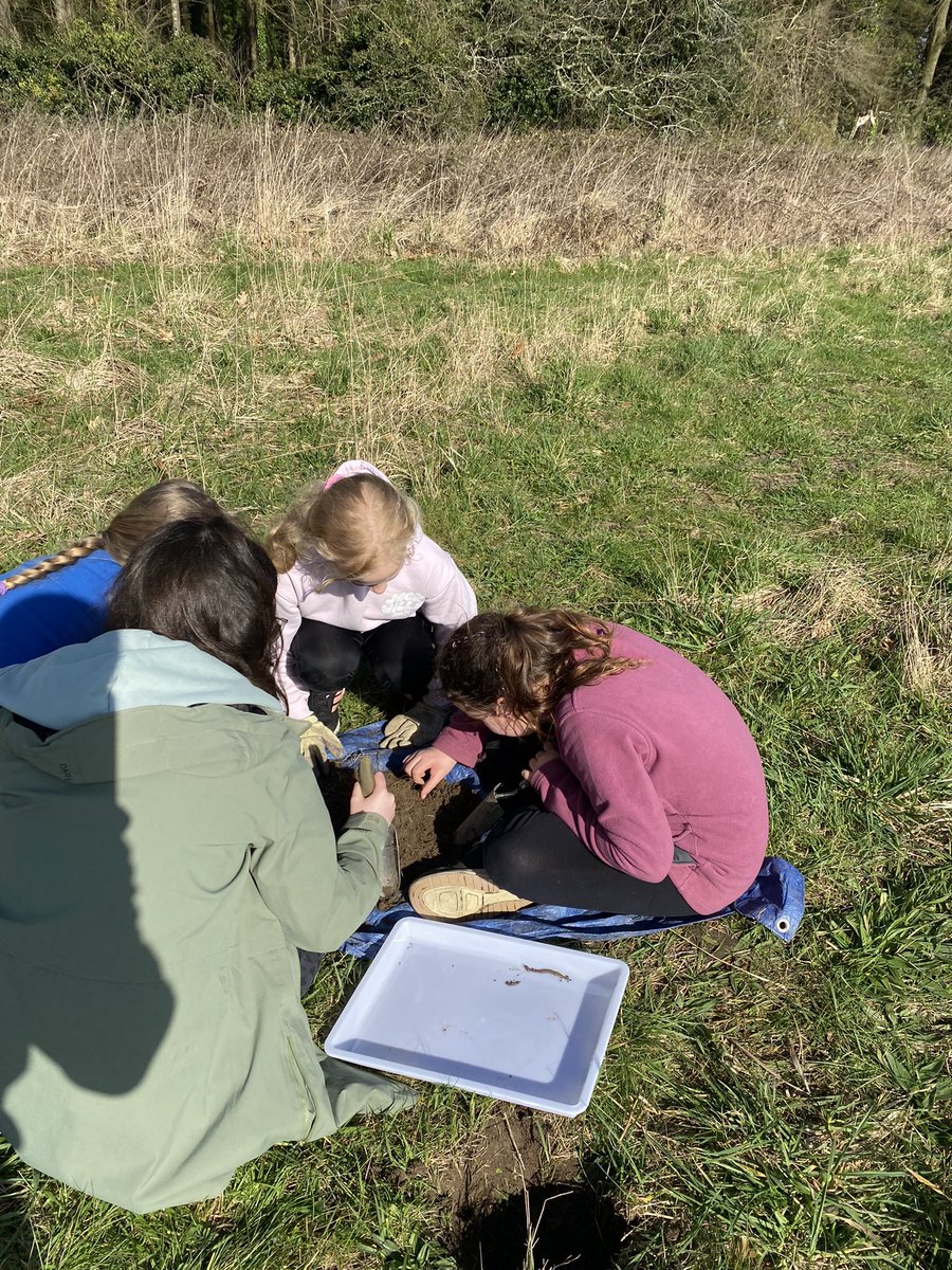 Ysgol Sychdyn tweet media