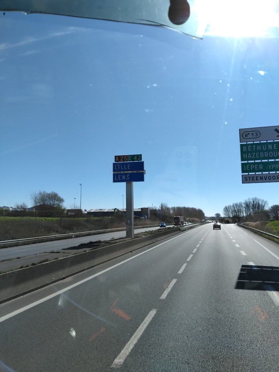 crow🐝 tweet media