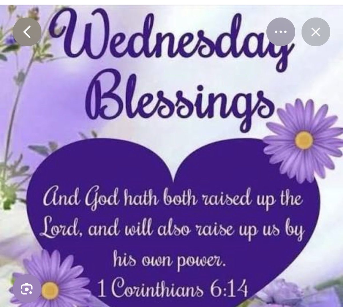 Luz Rivera 🇵🇷 tweet media