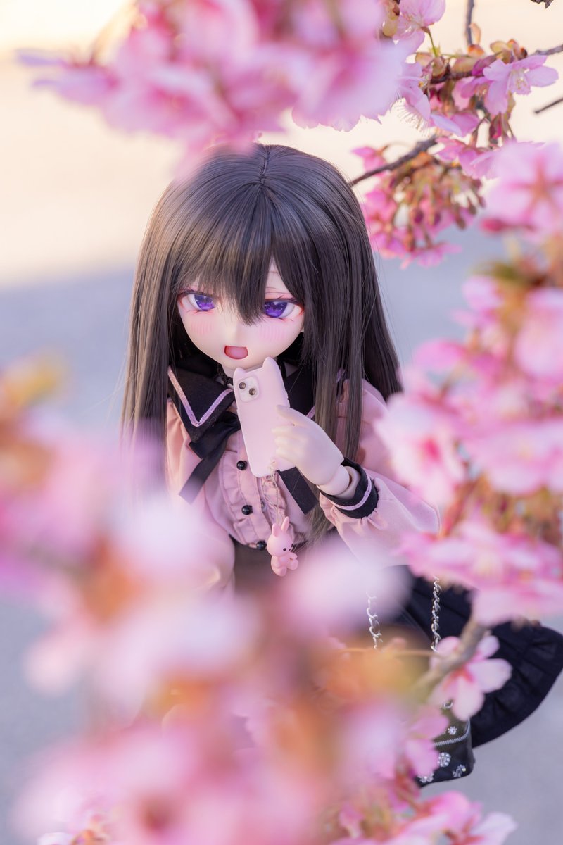 桜乃「私の名前にも、桜って入ってるんだよ」

#ぐるっ子