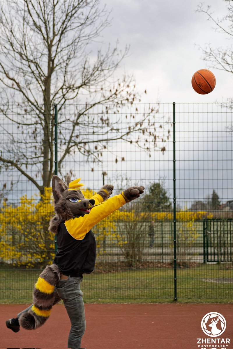 ToxicFox tweet media