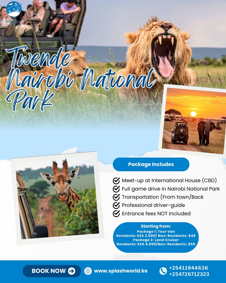 Splash World Limited tweet media