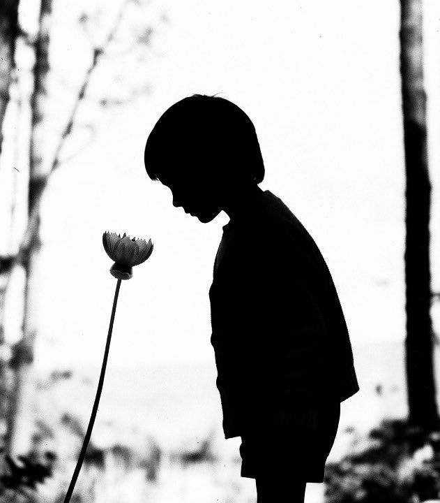 Alonein43672278's tweet image. #photography #blackandwhite #composition #childhood #memories #shadows 

Emanuele in the woods and the giant flower