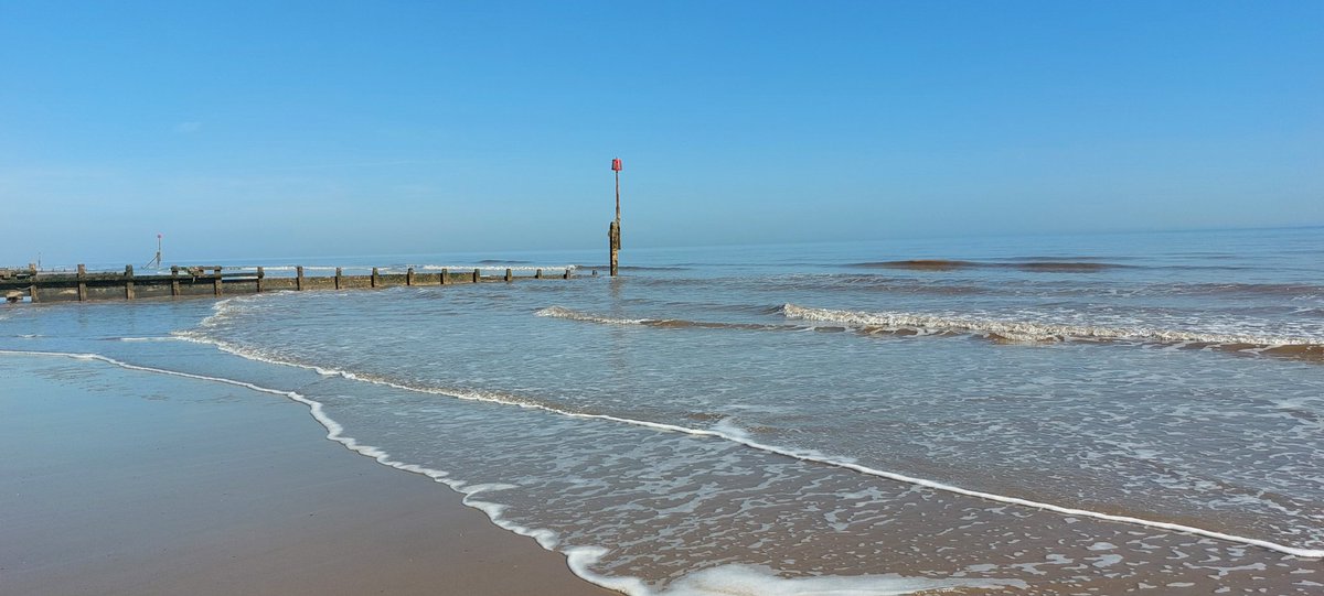 DR SIMON LEE tweet media