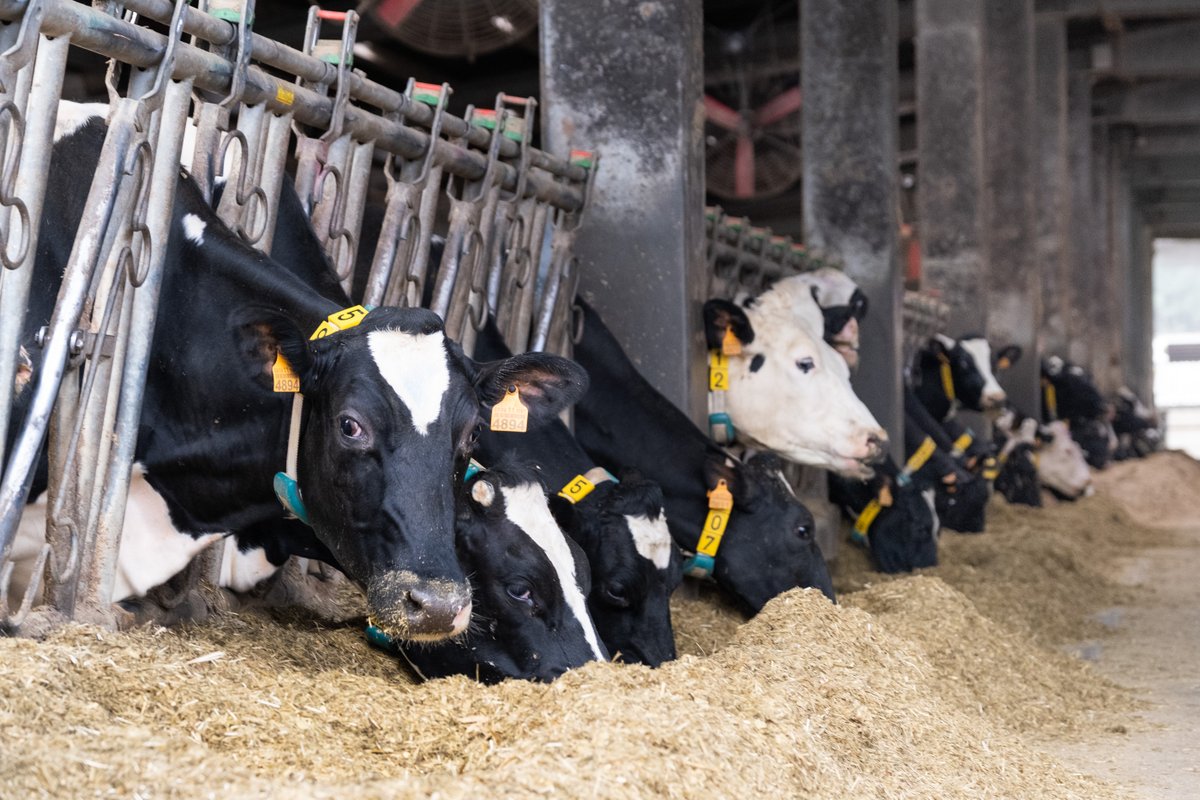 Xunta de Galicia tweet media