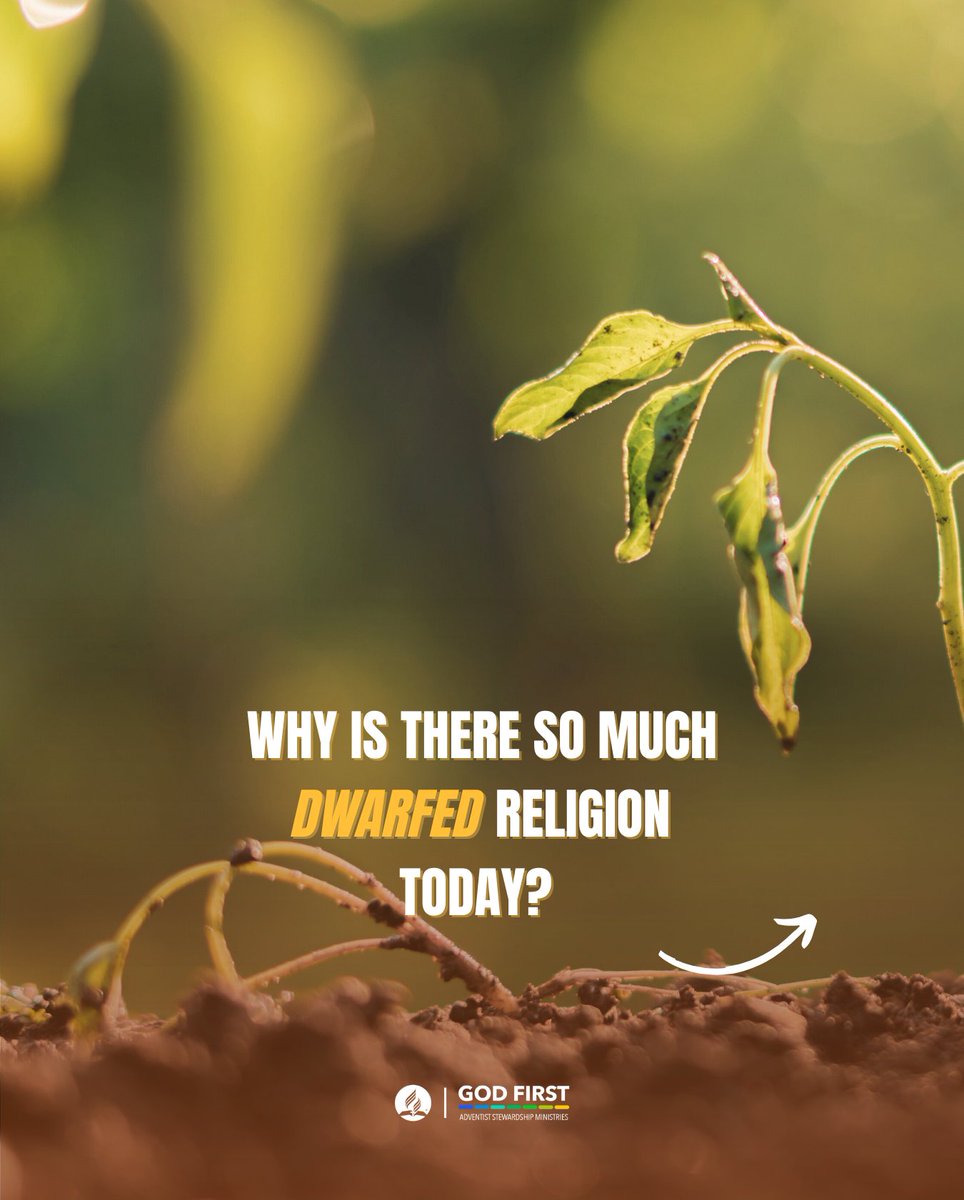 GCAdventistStewardship tweet media