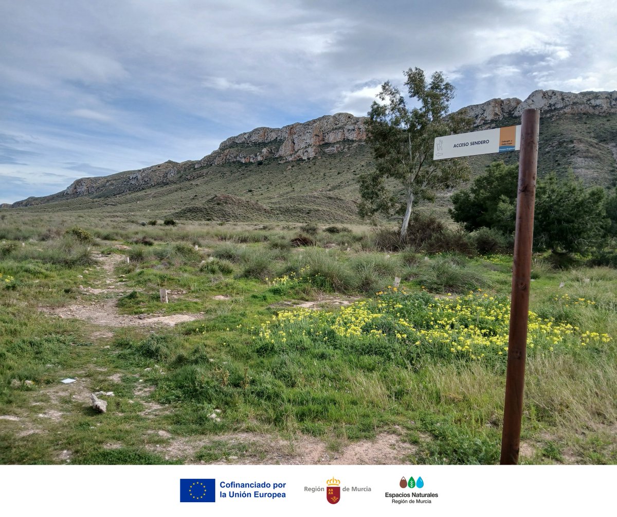 Parque Regional Calnegre y Cabo Cope tweet media