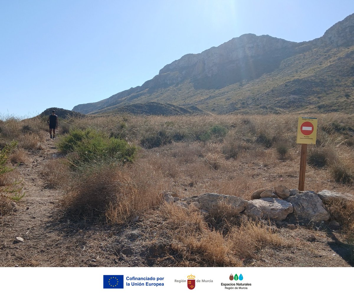 Parque Regional Calnegre y Cabo Cope tweet media