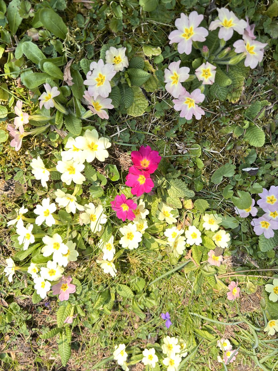 Style minds tweet media