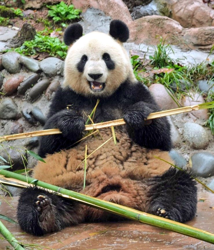 dre dre(ドリドリ) tweet media