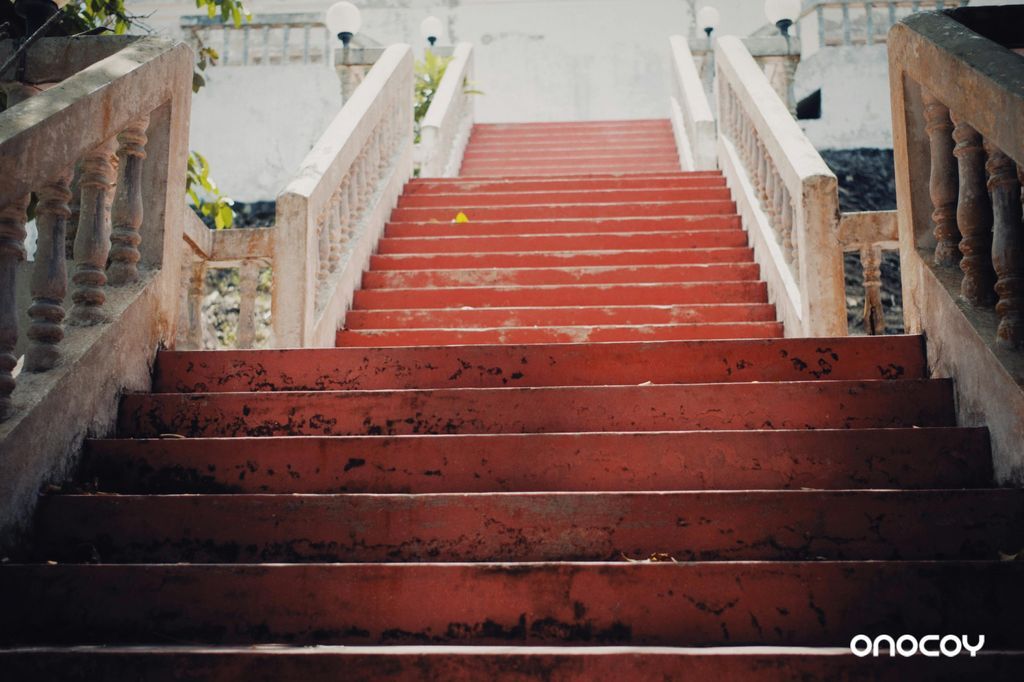 onocoy Association tweet media