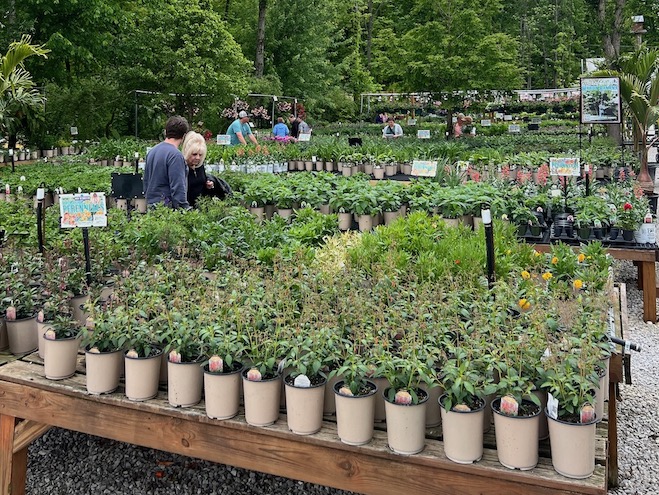 Nicholas "Dr. Breakfast" Dekker tweet media