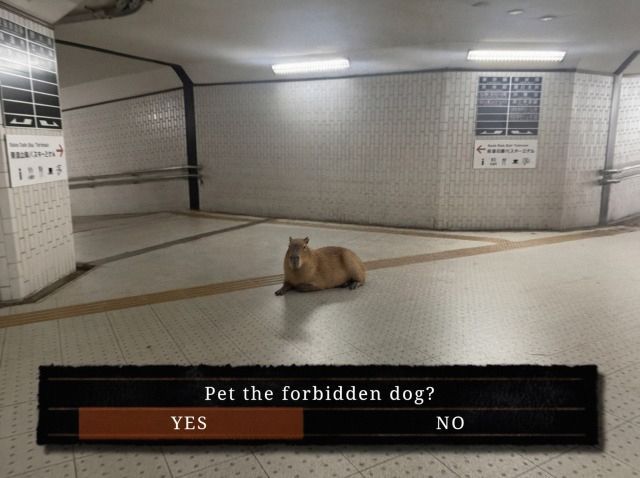 horse dentist tweet media