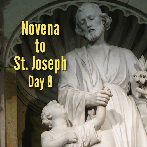 America Needs Fatima tweet media