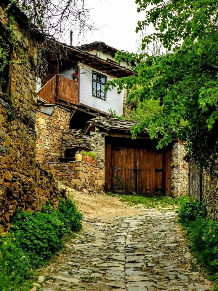 "Olumsuzlukları kesip atmak, tıpkı bahçedeki yabani otları temizlemek gibidir; hem görünüm hem de sağlık açısından şarttır." –