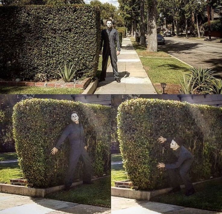 Terror Fora de Contexto tweet media