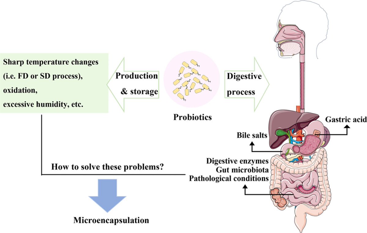Microbial Biotechnology (MBT) tweet media
