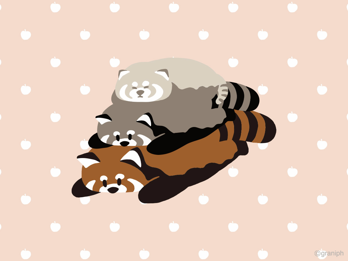 毎日イカク🐻
みんなでおねんね💤