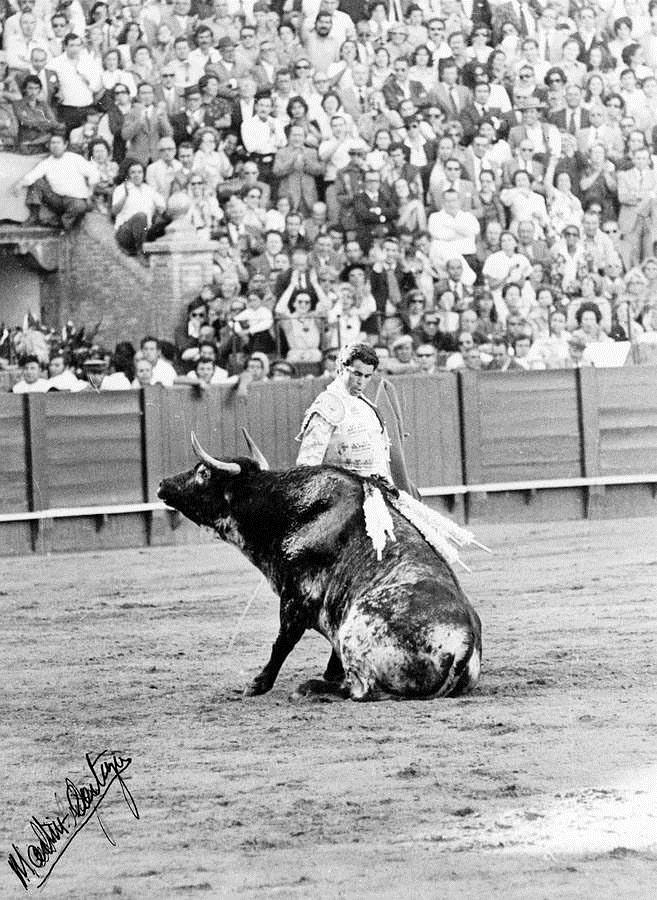 Real Unión de Criadores de Toros de Lidia tweet media