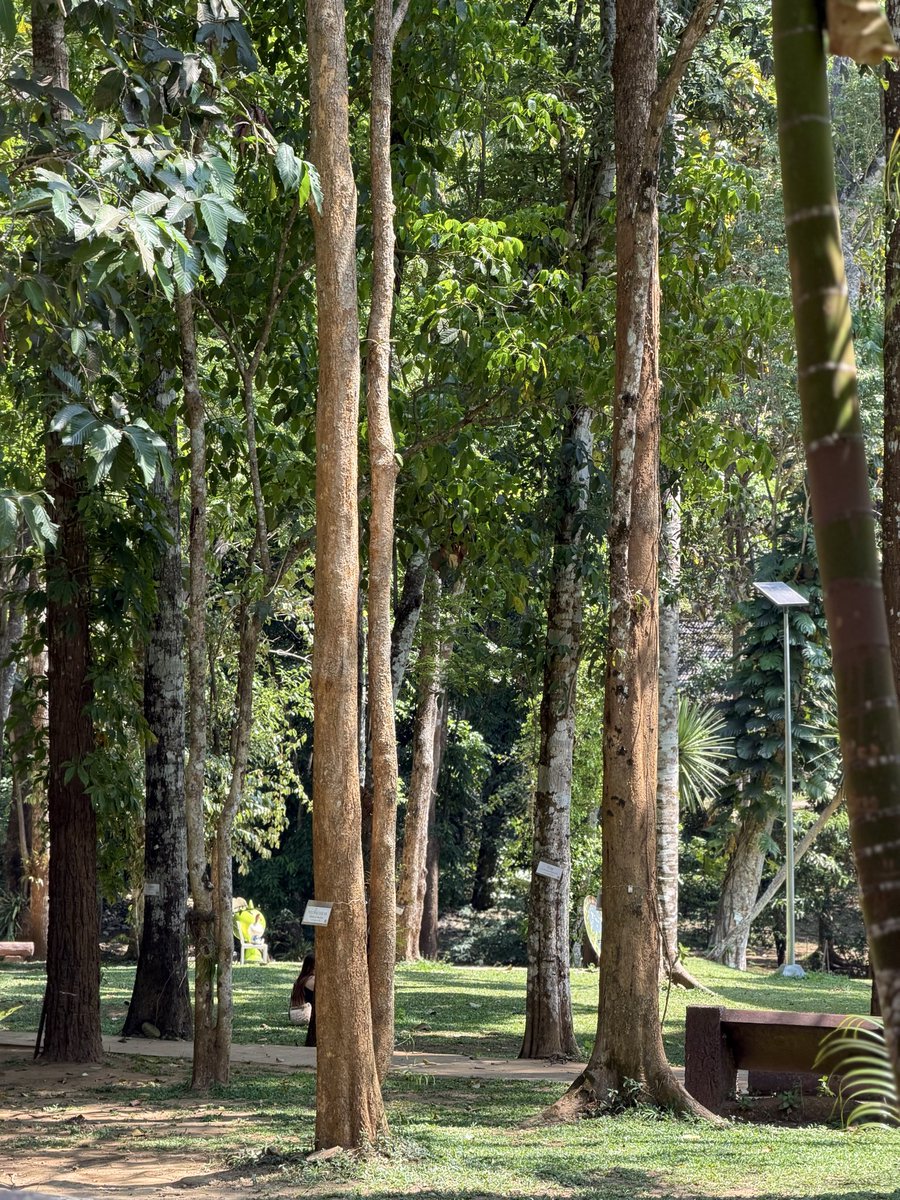 NIGHT_004 tweet media