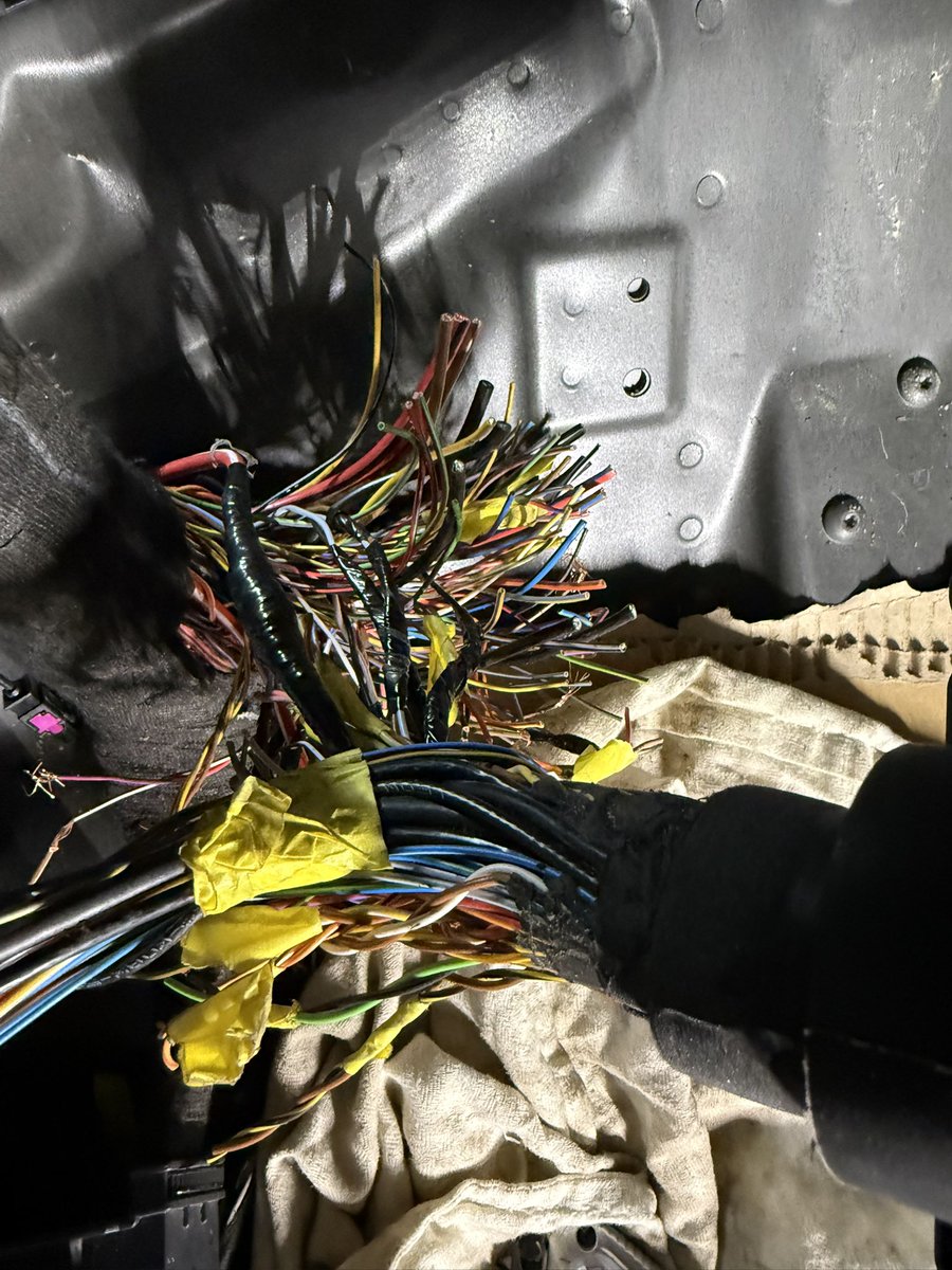 Alex 🔔 | updatify.io tweet media