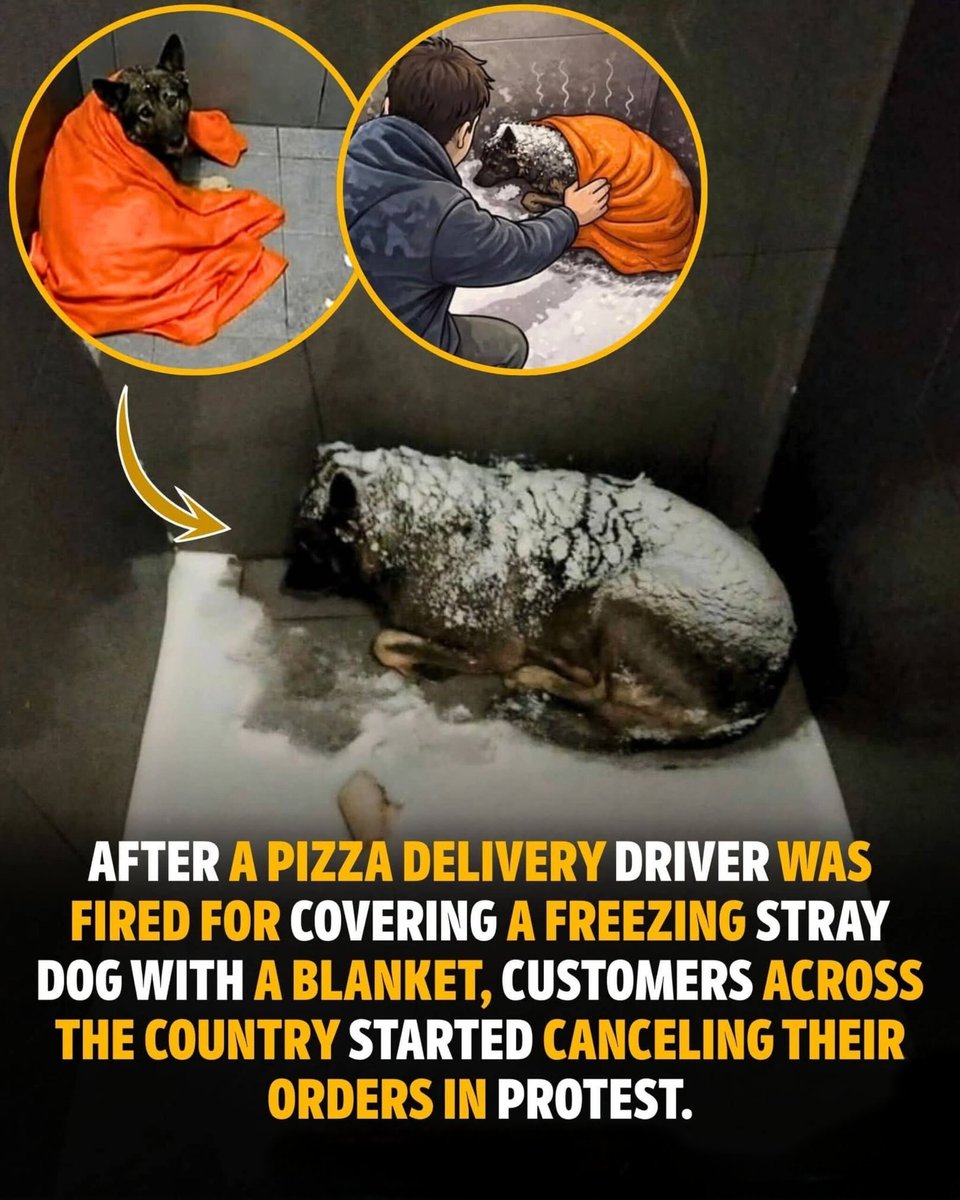 The World R🅰️nking tweet media