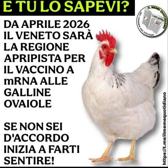 Stefania❤️ tweet media