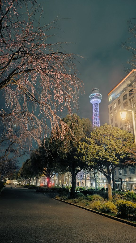 わたなべみつお🇯🇵 tweet media