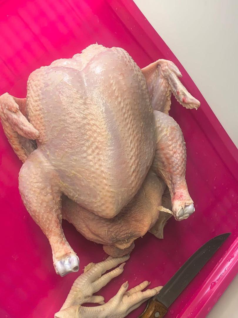 TommyEganz sidechick 🫦 tweet media