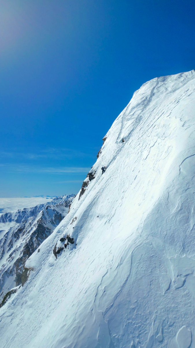 髙倉屋｜3/28,29 土日 東京日本橋 tweet media