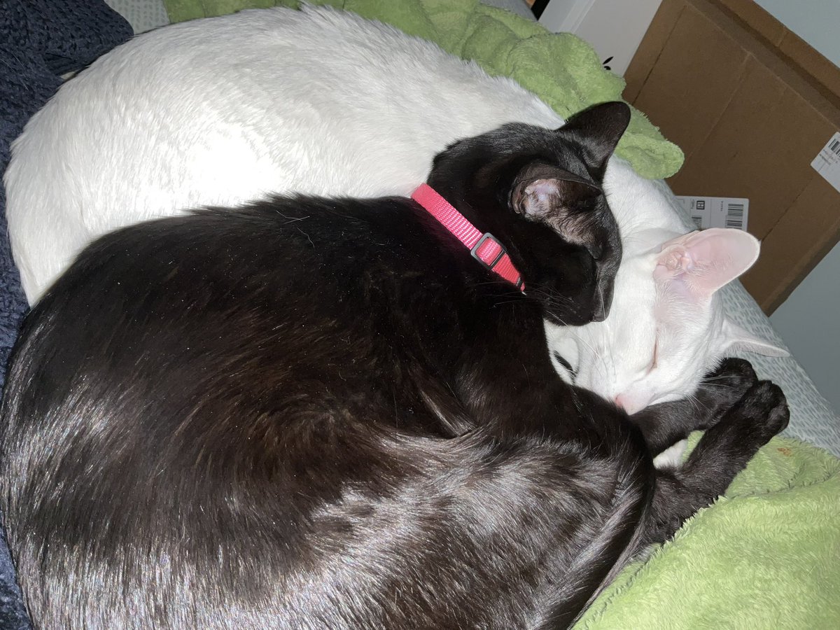 @SuzStephens 🇺🇦🌻 ☮️ tweet media