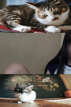 男の鑑 tweet media