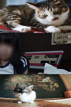 男の鑑 tweet media