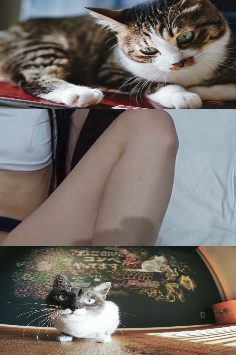 男の鑑 tweet media