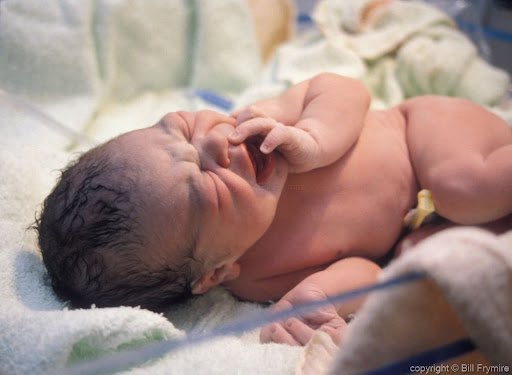 Jayda Fransen tweet media