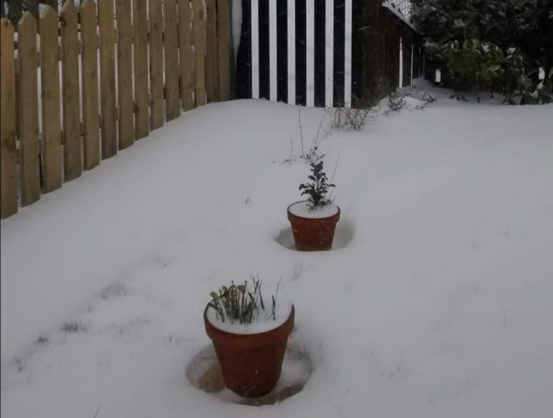 Official Weather UK ☀️ tweet media