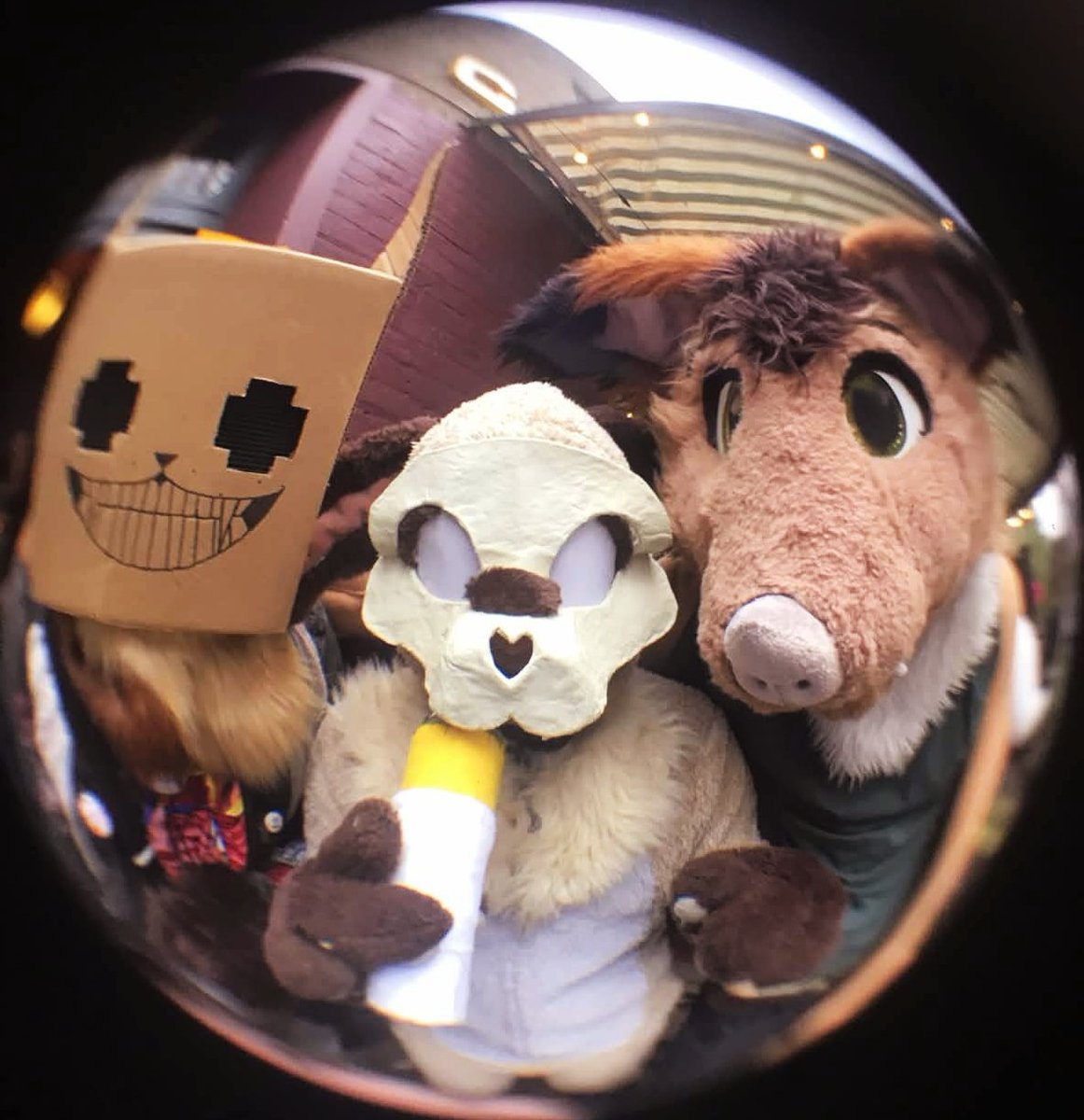 Necromaxer tweet media