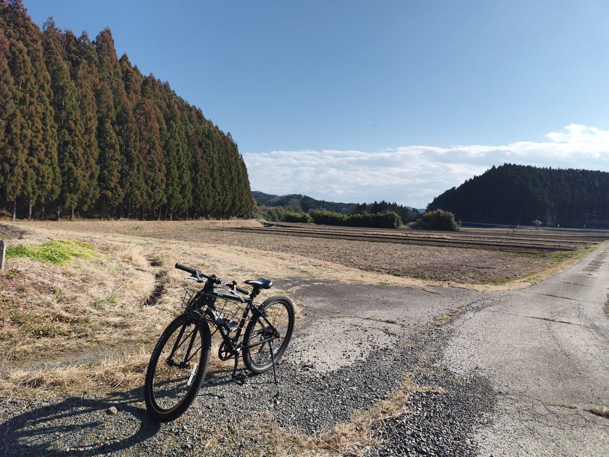 高野馨太＠農家見習い tweet media