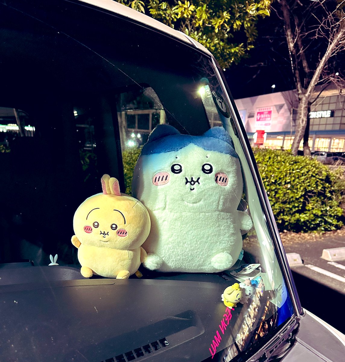ミィ🐰 tweet media
