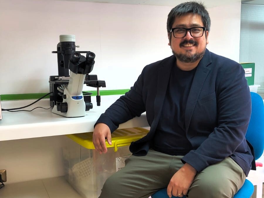 U. del Bío-Bío tweet media