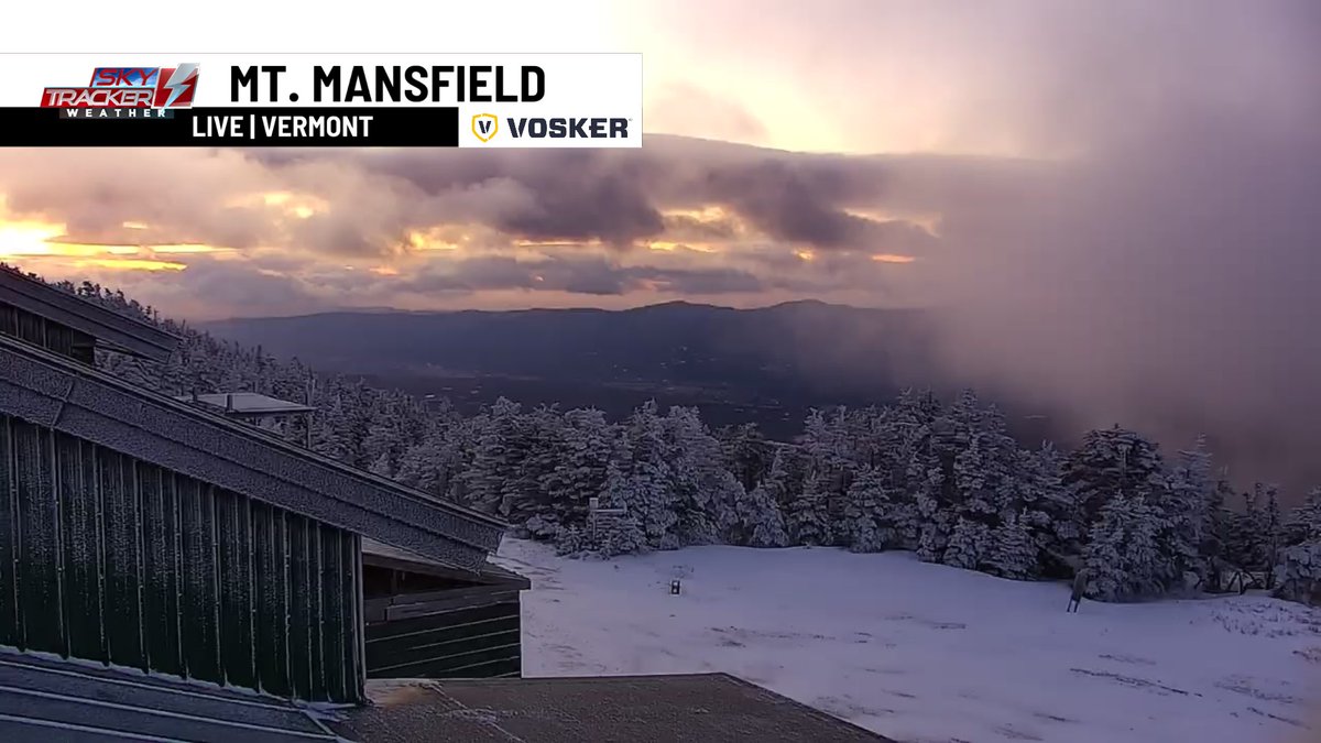 Alex Wasilenko tweet media