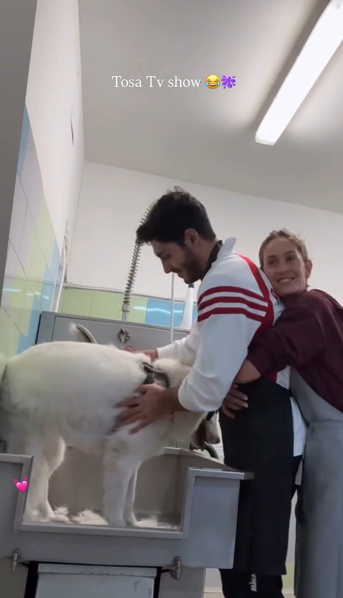 Mara/Prestinez dietro di me 🐻🐴🐕 tweet media