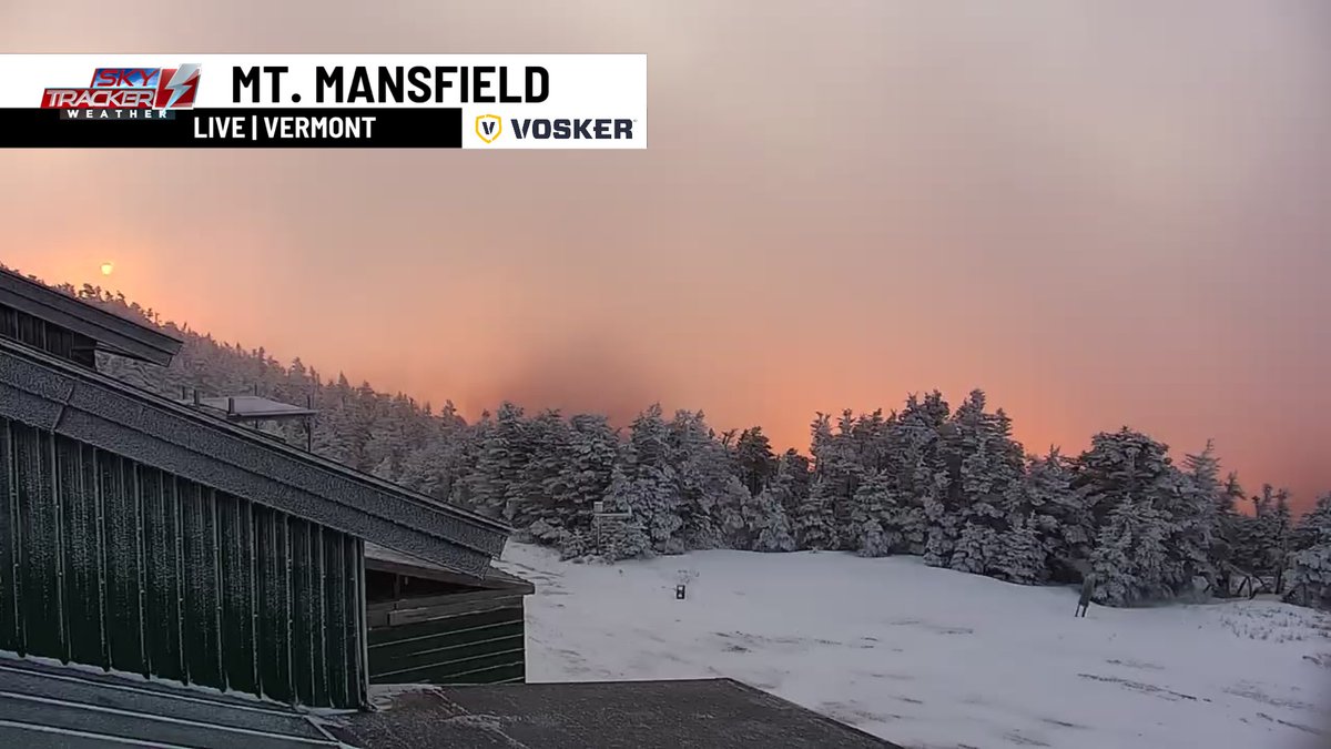 Alex Wasilenko tweet media