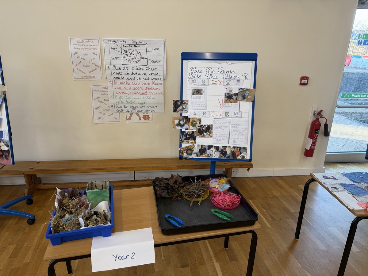 Southfields Primary School tweet media